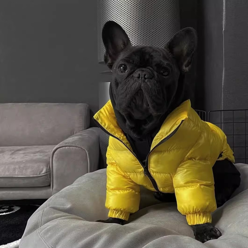 Pug Dog Coat Jacket French Bul - огляд і ціна Winter Clothing In French