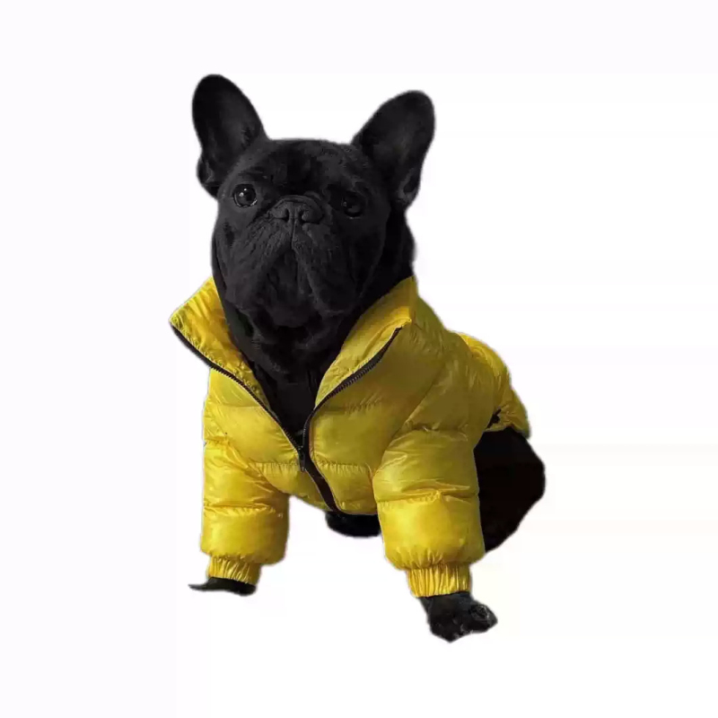 Pug Dog Coat Jacket French Bul - огляд і ціна Winter Clothing In French
