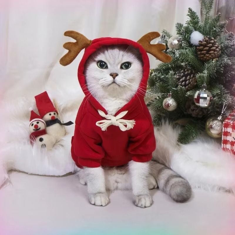 Puppy Clothes Christmas Dog Pr - огляд і ціна Winter Clothing In French