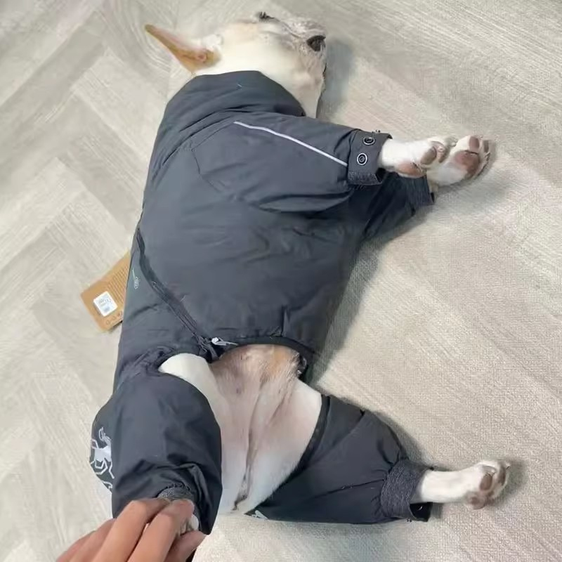 French Bulldog Clothing Jumpsu - огляд і ціна Winter Clothing In French