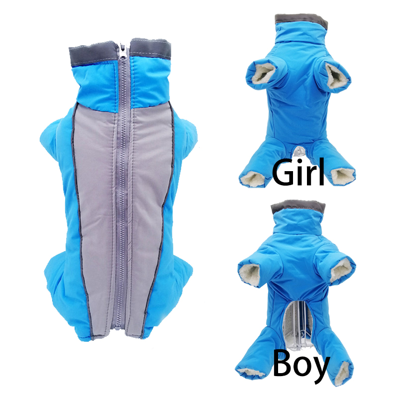 Winter Pet Dog Clothes Super W - огляд і ціна Winter Clothing In French