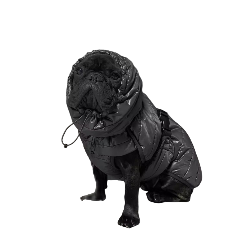 Pug Dog Coat Jacket Winter Fre - огляд і ціна Winter Clothing In French