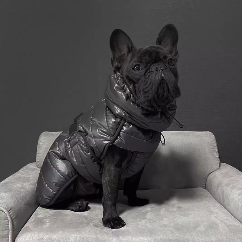 Pug Dog Coat Jacket Winter Fre - огляд і ціна Winter Clothing In French