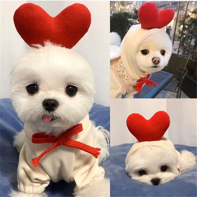 Winter Cartoon Pet Clothes Cut - огляд і ціна Winter Clothing In French