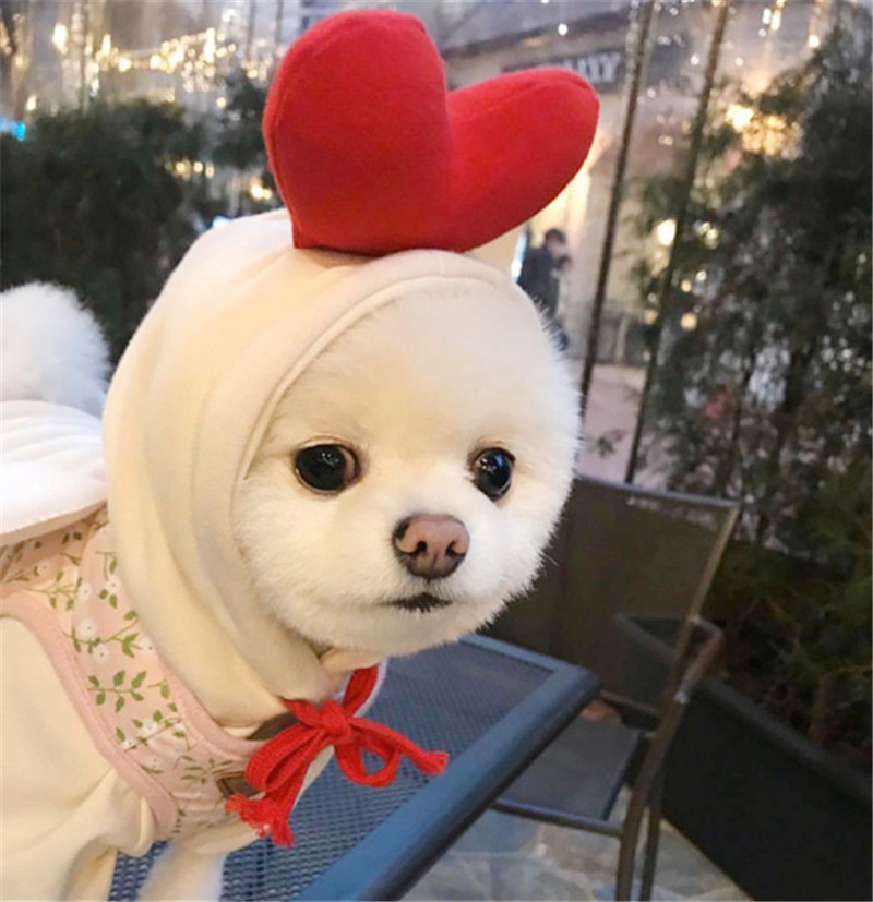 Winter Cartoon Pet Clothes Cut - огляд і ціна Winter Clothing In French